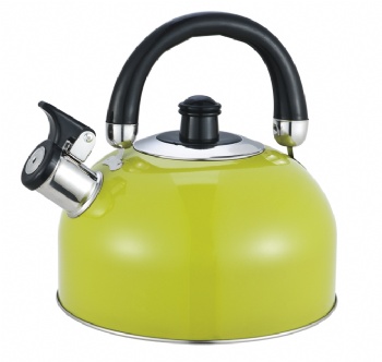 stainless steel kettle