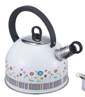 stainless steel kettle