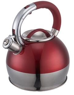 stainless steel kettle