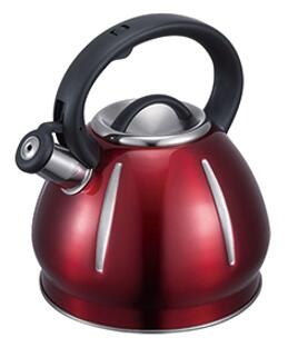 stainless steel kettle