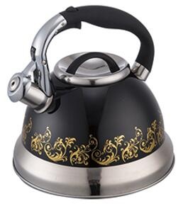 stainless steel kettle