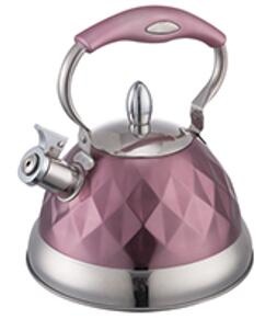 stainless steel kettle