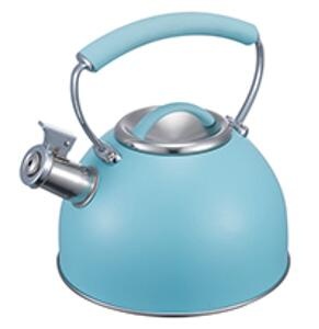 stainless steel kettle