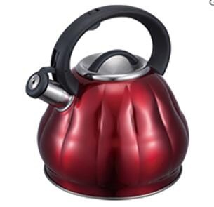 stainless steel kettle