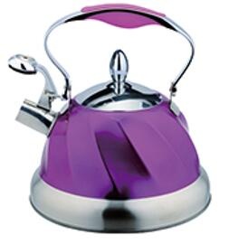 stainless steel kettle