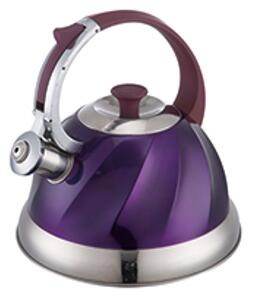 stainless steel kettle