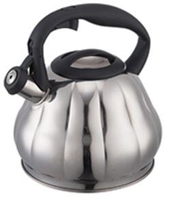 stainless steel kettle