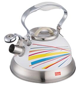 stainless steel kettle