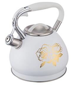 stainless steel kettle