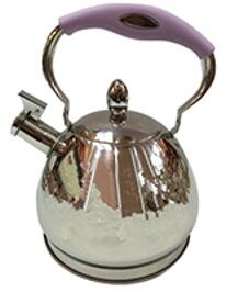 stainless steel kettle