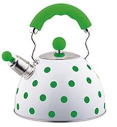 stainless steel kettle