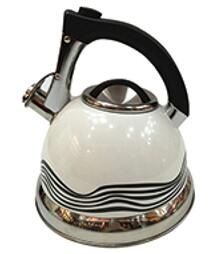 stainless steel kettle