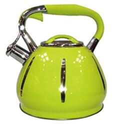 stainless steel kettle