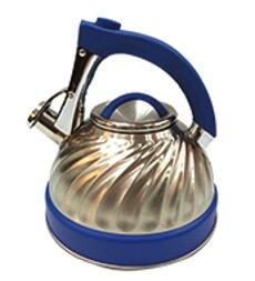 stainless steel kettle