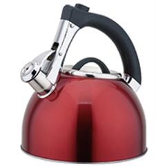 stainless steel kettle