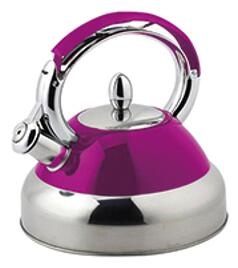 stainless steel kettle