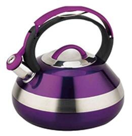 stainless steel kettle