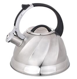 stainless steel kettle