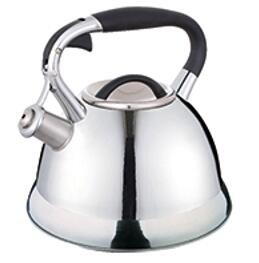 stainless steel kettle