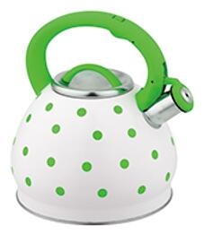 stainless steel kettle