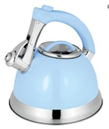 stainless steel kettle