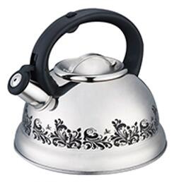 stainless steel kettle