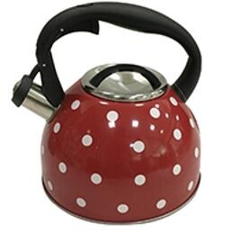 stainless steel kettle