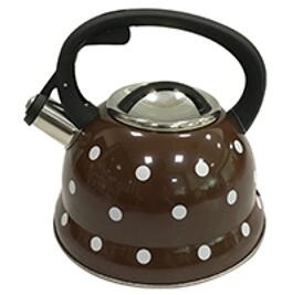 stainless steel kettle