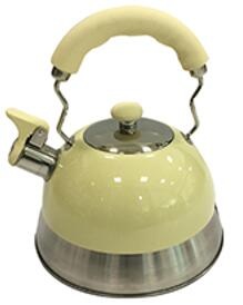 stainless steel kettle