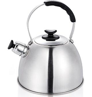 stainless steel kettle