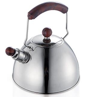 stainless steel kettle