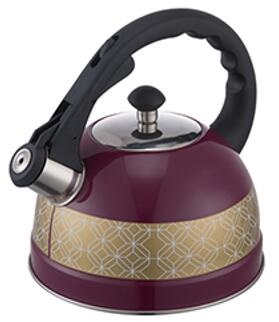 stainless steel kettle