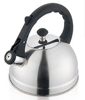 stainless steel kettle