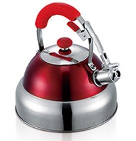 stainless steel kettle