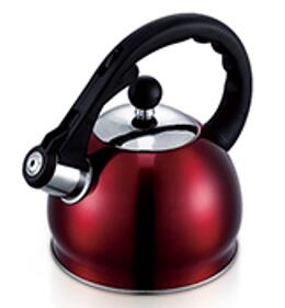 stainless steel kettle