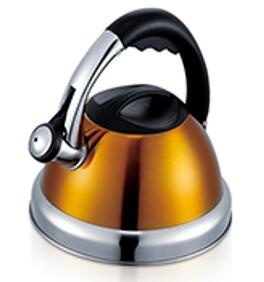 stainless steel kettle