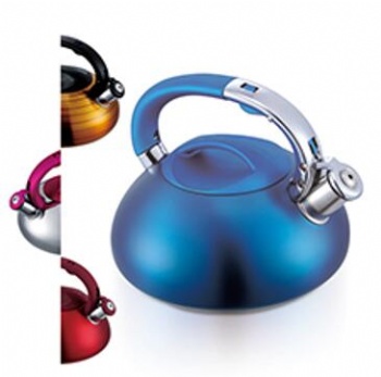 stainless steel kettle