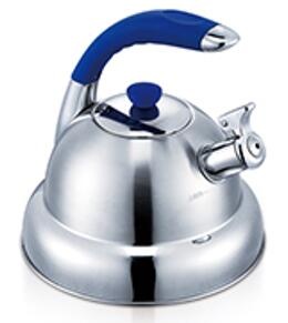 stainless steel kettle