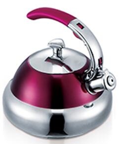 stainless steel kettle