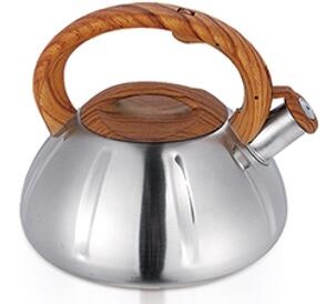 stainless steel kettle