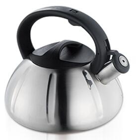 stainless steel kettle