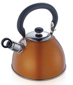 stainless steel kettle