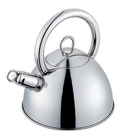 stainless steel kettle