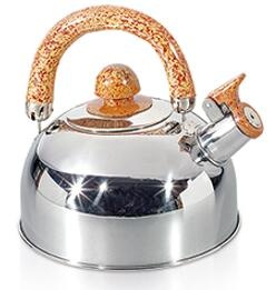 stainless steel kettle