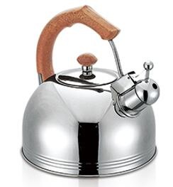 stainless steel kettle