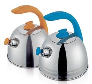 stainless steel kettle