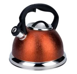 stainless steel kettle