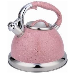 stainless steel kettle