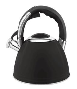 stainless steel kettle