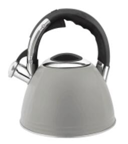 stainless steel kettle